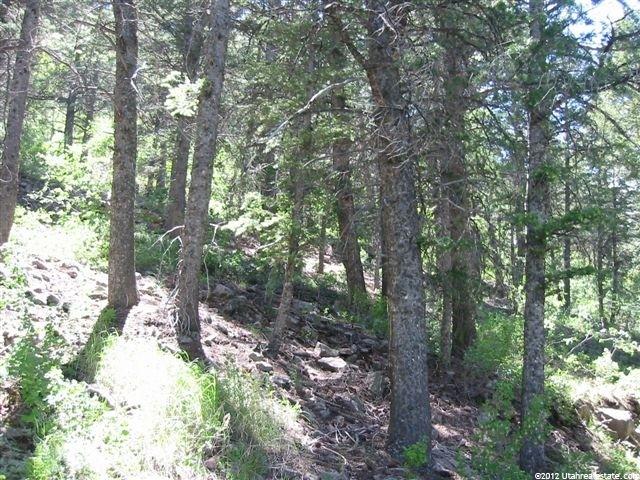 2056 Samak Park Loop #23, Kamas, UT 84036 — photo 3