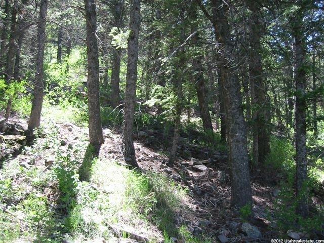 2056 Samak Park Loop #23, Kamas, UT 84036 — photo 4