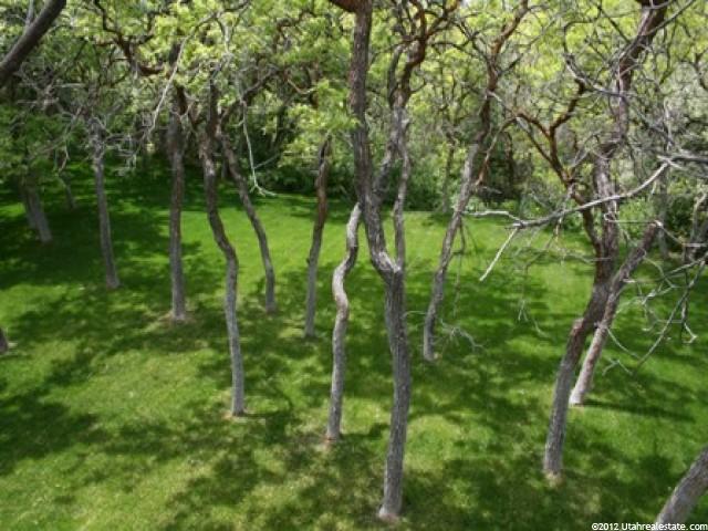 795 Oakmont Cir, Fruit Heights, UT 84037 — photo 10