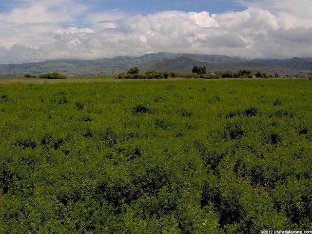 1155 W Highway 218 W, Smithfield, UT 84335 — photo 5