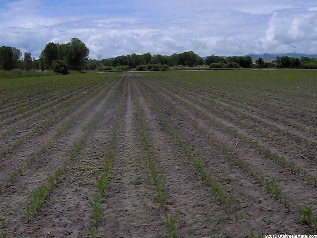 1155 W Highway 218 W, Smithfield, UT 84335 — photo 7