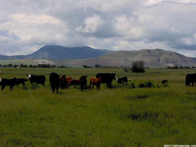 1155 W Highway 218 W, Smithfield, UT 84335 — photo 12
