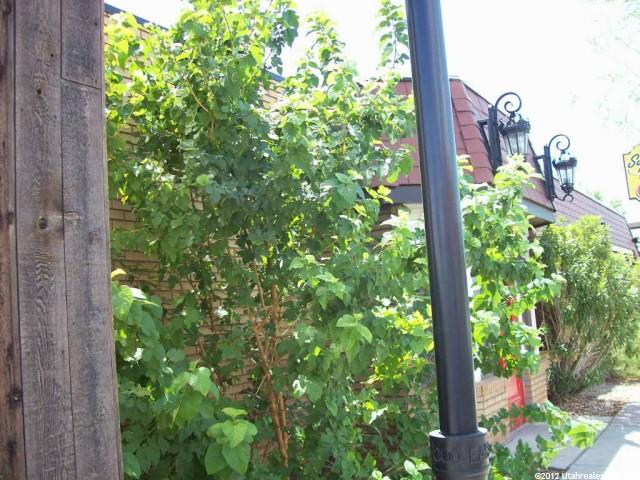 290 E St George Blvd, St. George, UT 84770 — photo 3