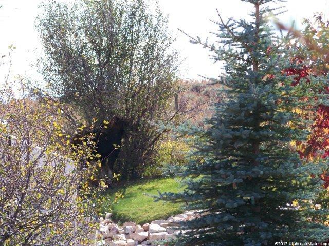 175 Bear Lake Ln #13-, Fish Haven, ID 83287 — photo 2
