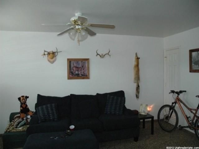 346 E 200 N, Levan, UT 84639 — photo 5