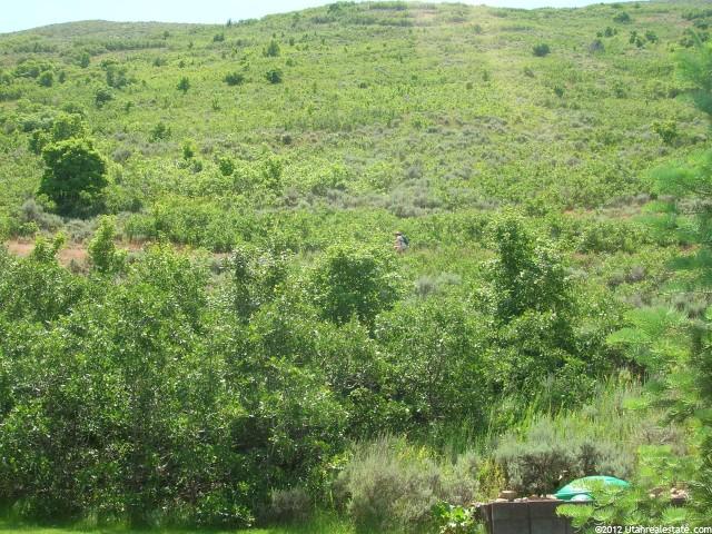 502 Steep Mountain Dr, Draper, UT 84020 — photo 12