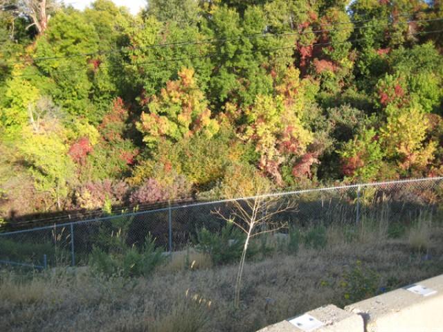4310 S Riverdale Rd, Riverdale, UT 84405 — photo 4
