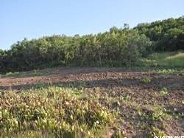 4089 Nordic Valley Dr, Eden, UT 84310 — photo 3