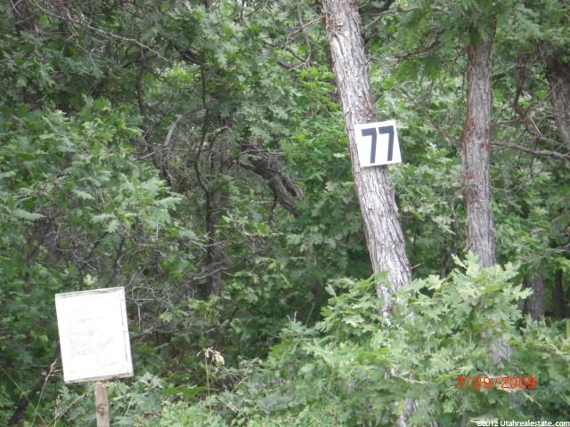 23398 N 13808 E #77, Fairview, UT 84629 — photo 2