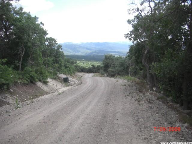 23398 N 13808 E #77, Fairview, UT 84629 — photo 3