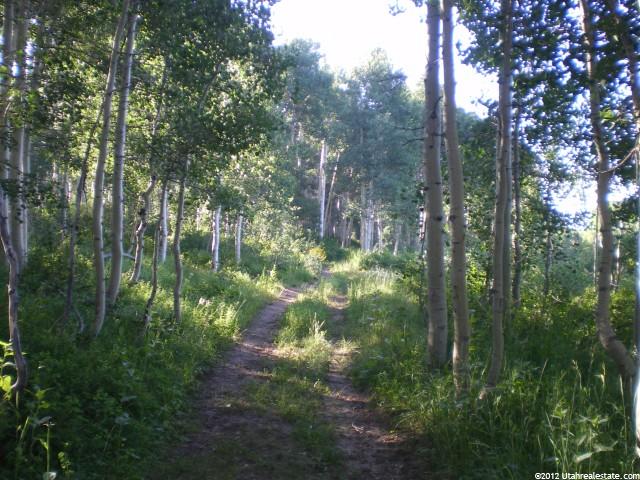 1 N Guardsman Pass #1, Midway, UT 84049 — photo 2