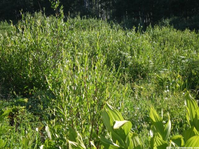 1 N Guardsman Pass #1, Midway, UT 84049 — photo 11