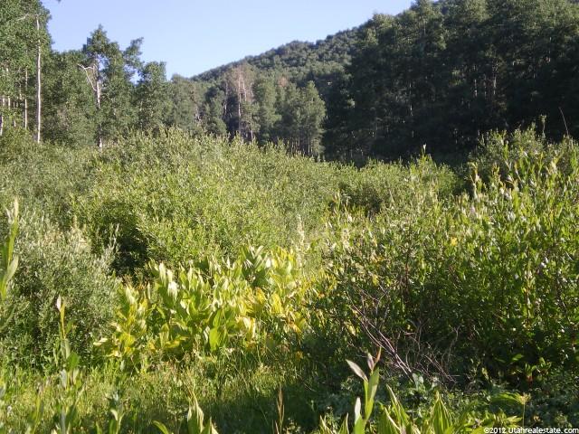 1 N Guardsman Pass #1, Midway, UT 84049 — photo 12