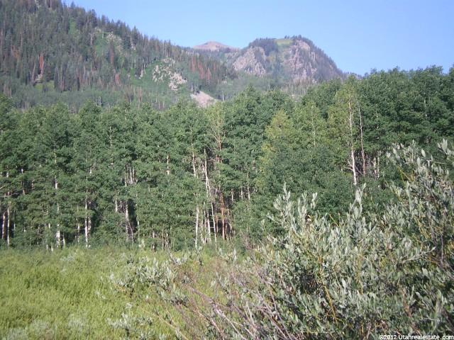 1 N Guardsman Pass #1, Midway, UT 84049 — photo 3