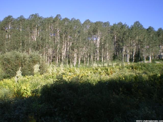 1 N Guardsman Pass #1, Midway, UT 84049 — photo 4