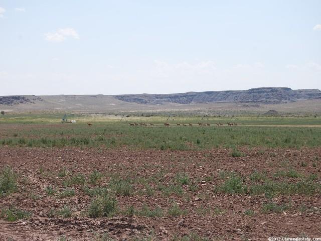8864 S 1750 E, Myton, UT 84052 — photo 5