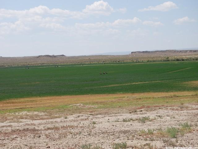 8864 S 1750 E, Myton, UT 84052 — photo 6