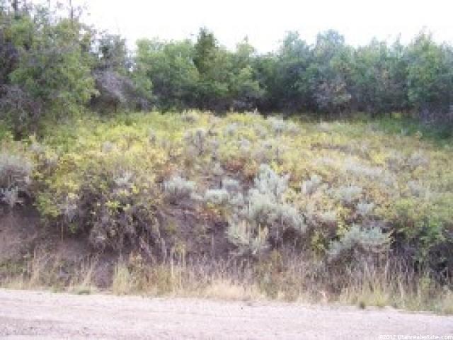 9668 E Ridge Pine Rd #1107, Heber City, UT 84032 — photo 2