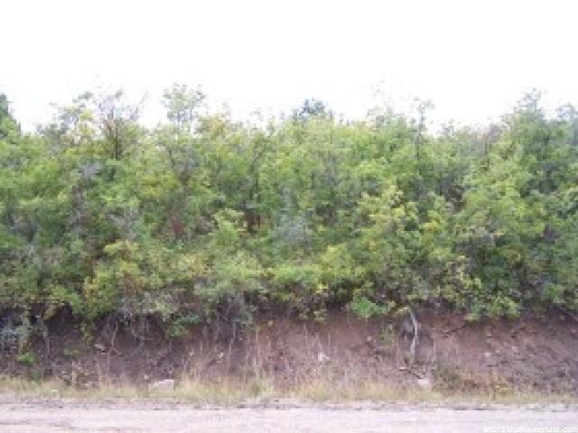 9668 E Ridge Pine Rd #1107, Heber City, UT 84032 — photo 4