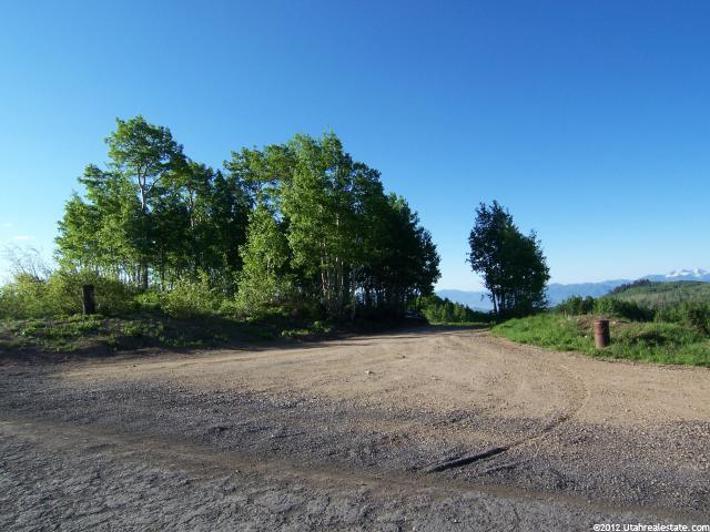 5294 W Pond Rd, Midway, UT 84049 — photo 2
