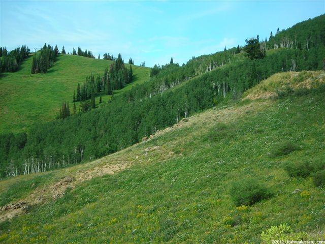 6706 E Aspen Dr, Eden, UT 84310 — photo 2