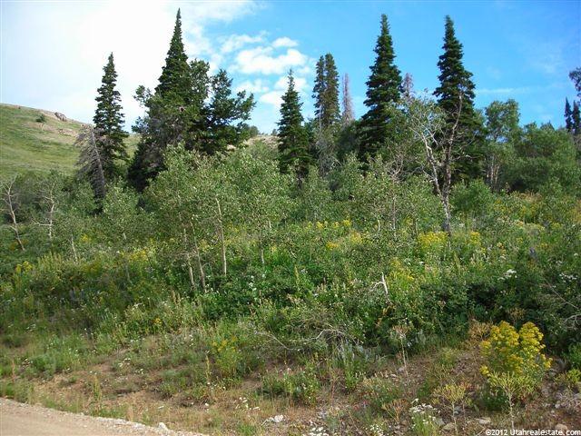 6706 E Aspen Dr, Eden, UT 84310 — photo 3
