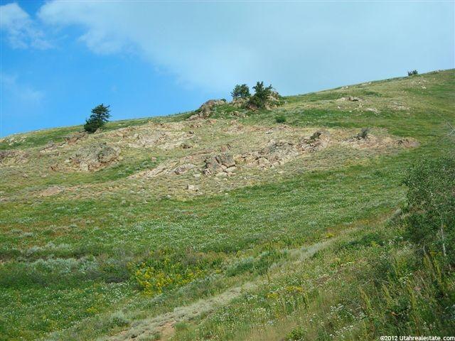 6706 E Aspen Dr, Eden, UT 84310 — photo 5