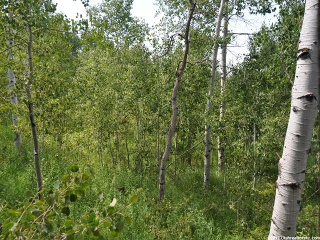 540 White Pine Way, Oakley, UT 84055 — photo 11