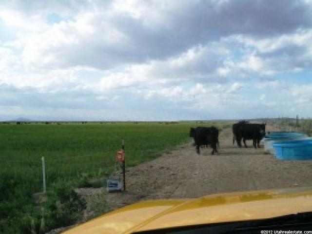 300 N 500 E, Hinckley, UT 84635 — photo 8