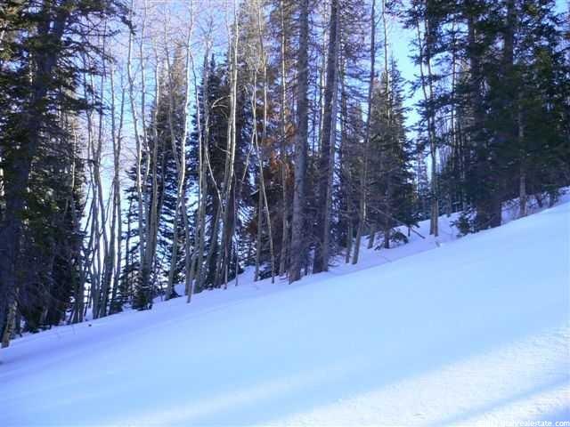 88 Silver Strike Trl #4, Park City, UT 84060 — photo 2