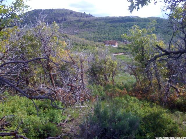 9393 E Acorn Cir #923, Timber Lakes, UT 84032 — photo 2