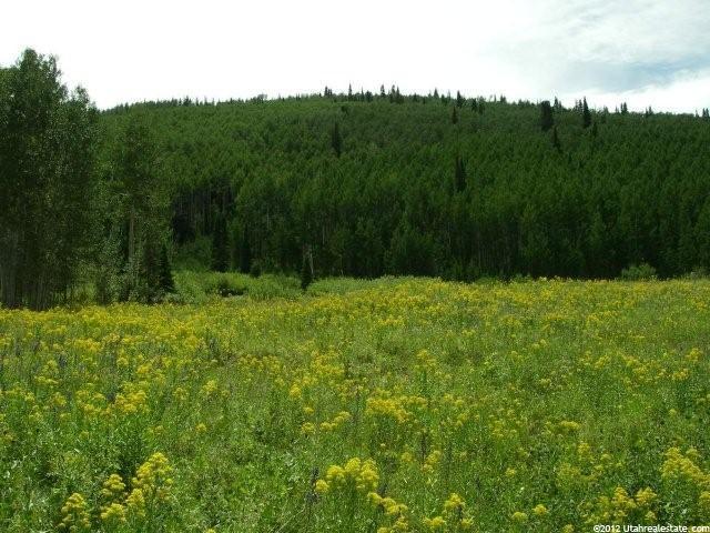 11962 E Beaver Cir, Heber City, UT 84032 — photo 3