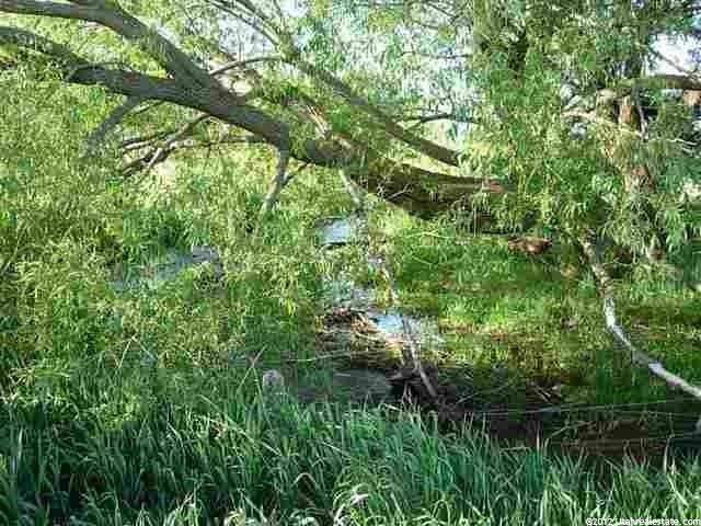 239 W 250 N, Kamas, UT 84036 — photo 4