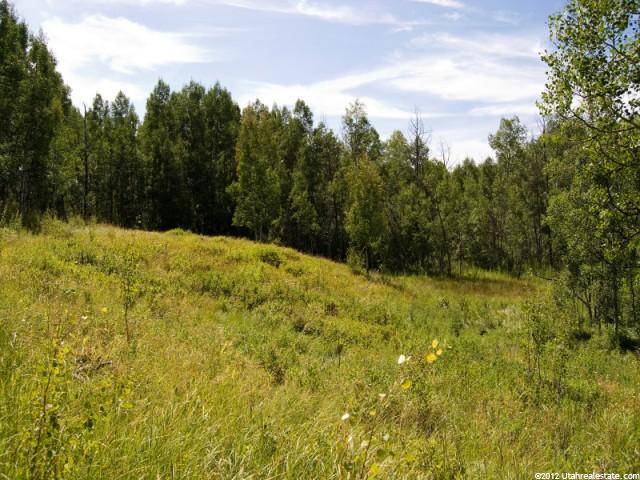 684 Conifer #18, Oakley, UT 84055 — photo 4
