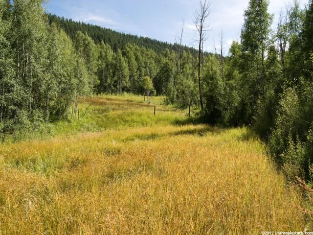 684 Conifer #18, Oakley, UT 84055 — photo 6