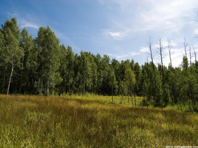 684 Conifer #18, Oakley, UT 84055 — photo 8