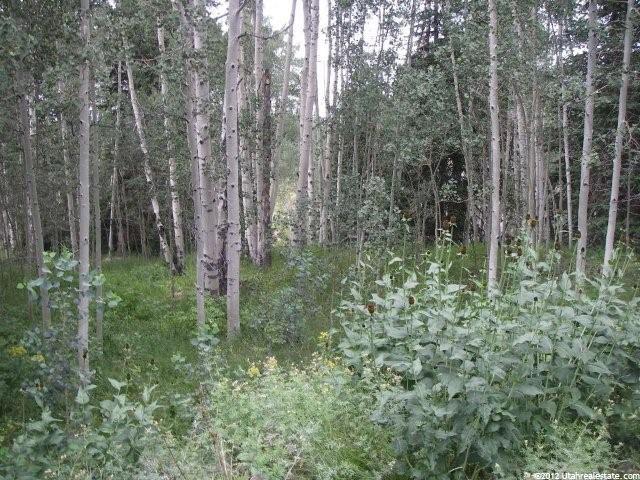 11948 E Beaver Cir #2017, Heber City, UT 84032 — photo 7