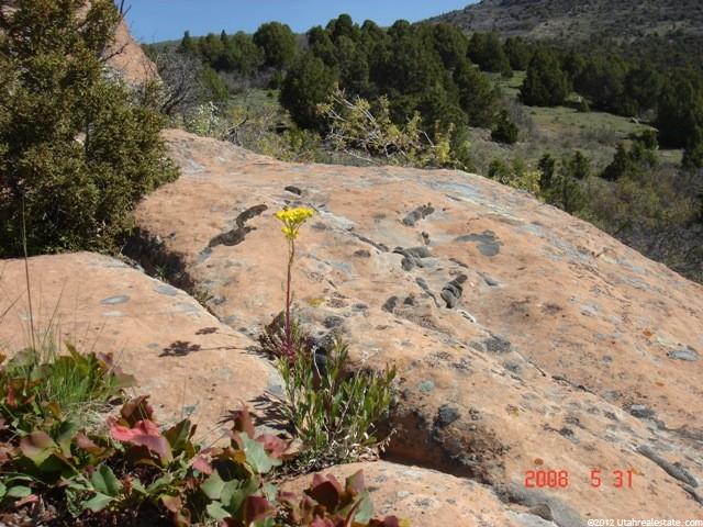 9208 E Lake Creek Rd #2203, Wasatch County, UT 84032 — photo 3