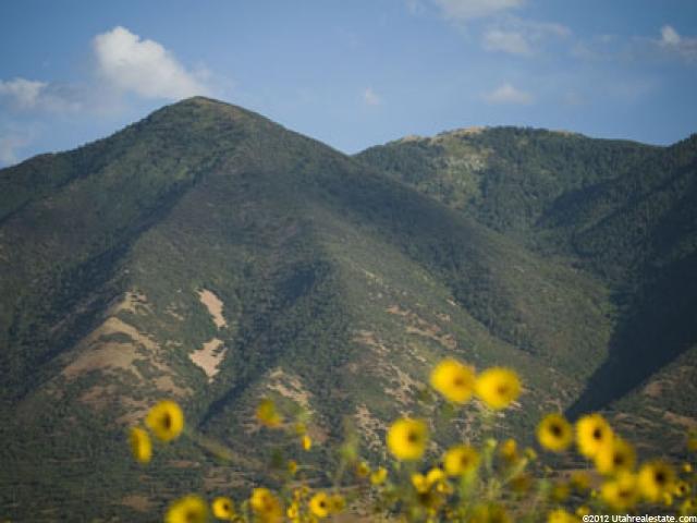 1234 E Spring Meadow Dr, Pine Canyon, UT 84074 — photo 2