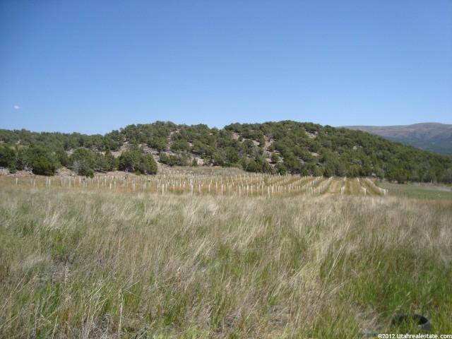 15964 N Deep Creek Rd, Lapoint, UT 84039 — photo 12