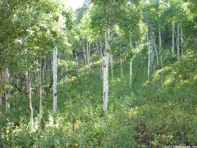442 Green Briar Rd #442, Timber Lakes, UT 84032 — photo 2
