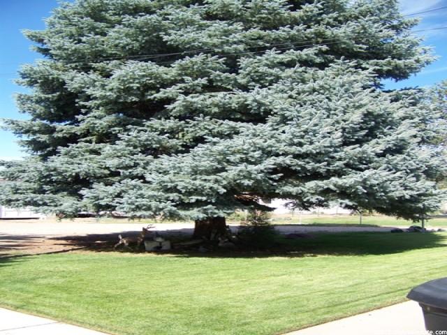 1610 W 300 N, West Point, UT 84015 — photo 6