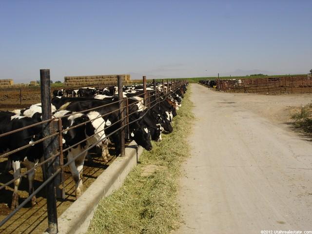 1855 N 6400 W, Corinne, UT 84307 — photo 2
