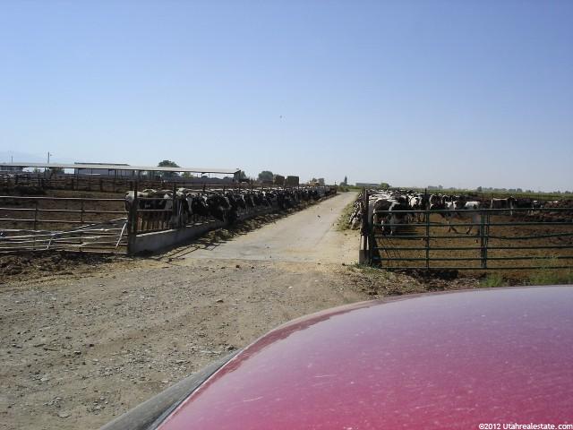 1855 N 6400 W, Corinne, UT 84307 — photo 5