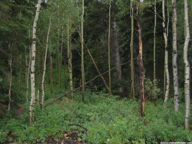 11626 E Aspen Rd #414, Timber Lakes, UT 84032 — photo 2
