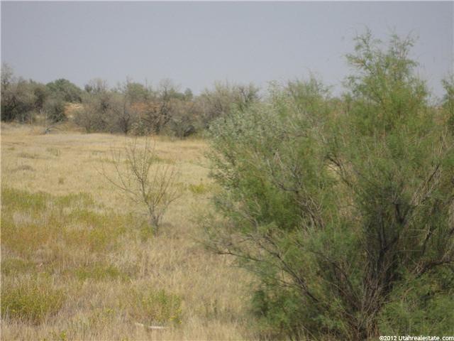 534 N 9500 E, Gusher, UT 84026 — photo 6