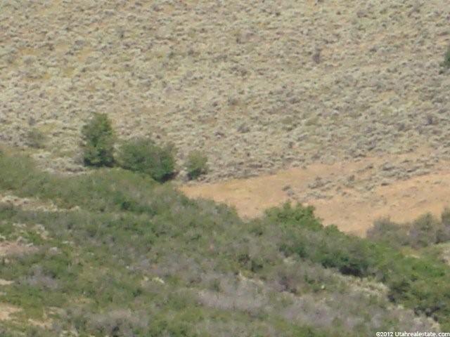 21 Browns Canyon Rd #21, Peoa, UT 84061 — photo 11