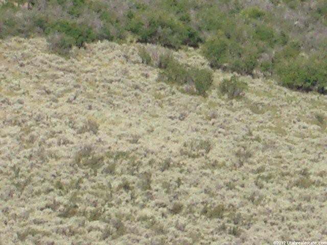 21 Browns Canyon Rd #21, Peoa, UT 84061 — photo 12