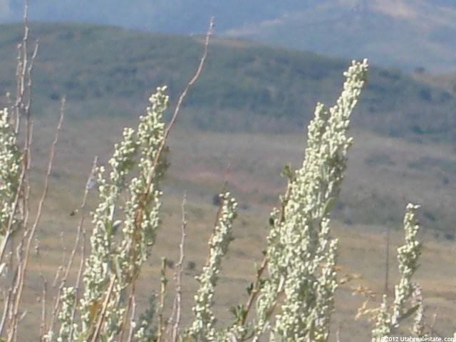 21 Browns Canyon Rd #21, Peoa, UT 84061 — photo 8