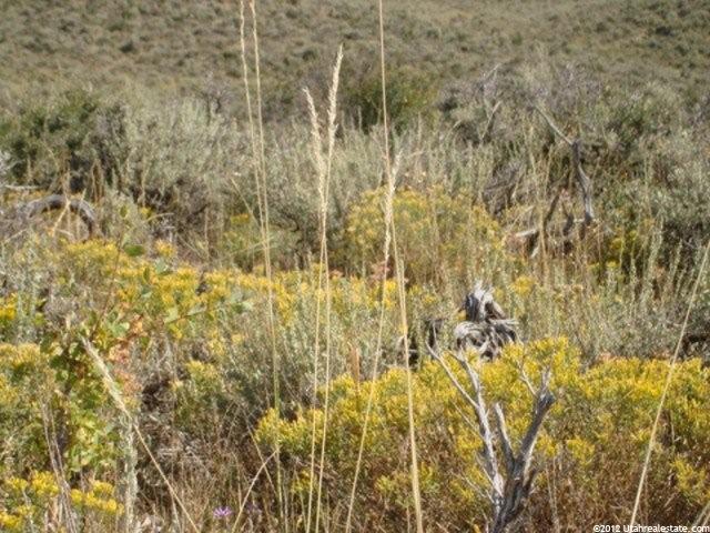 21 Browns Canyon Rd #21, Peoa, UT 84061 — photo 9